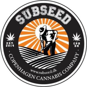 Med autoblomstrende skunk frø, kan selv en uerfaren dyrker, gro cannabis.