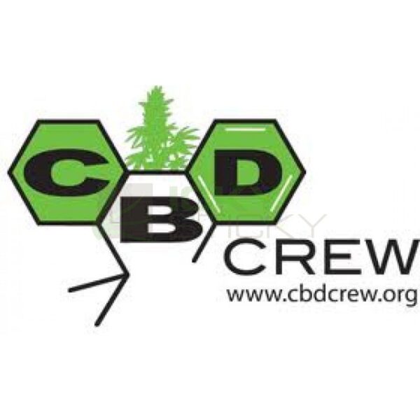 CBD Therapy medicinske cannabis frø - CBD Crew - Image 3