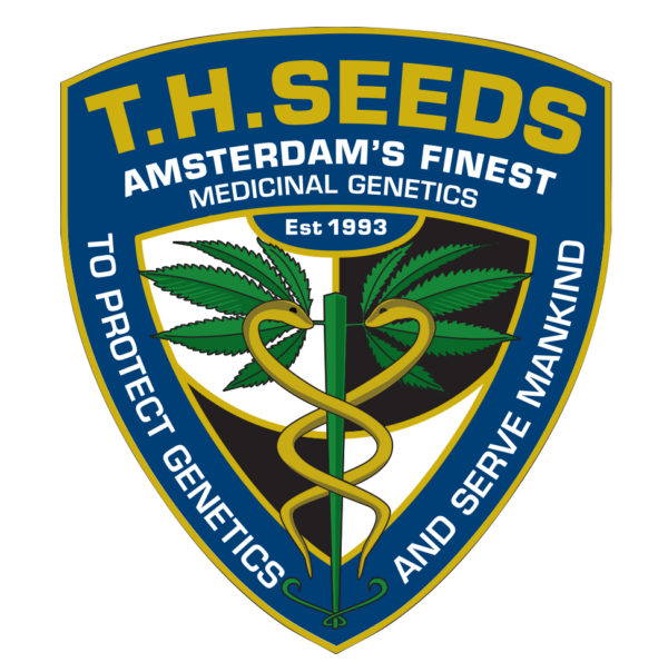 Underdawg OG Fem. cannabis frø - T.H. Seeds - Image 4