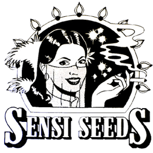 Sensi seeds cannabis frø