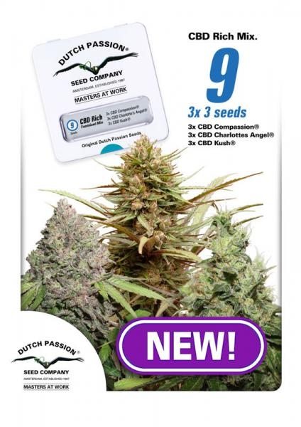Rich Mixed CBD feminiserede cannabisfrø fra Dutch Passion