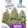 USA Mix Auto feminiserede cannabisfrø fra Dutch Passion
