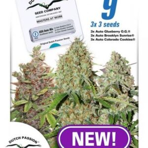 USA Mix Auto feminiserede cannabisfrø fra Dutch Passion
