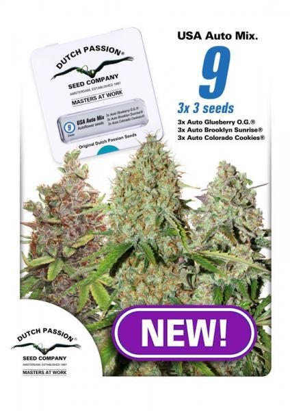 USA Mix Auto feminiserede cannabisfrø fra Dutch Passion