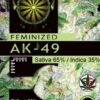 AK-49 feminiserede cannabisfrø fra Vision Seeds