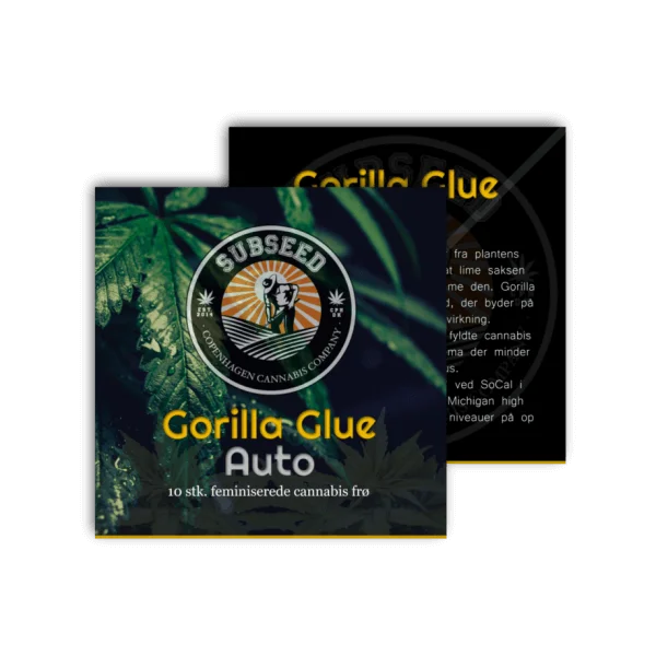 Gorilla Glue autoblomstrende cannabisfrø fra Subseeds
