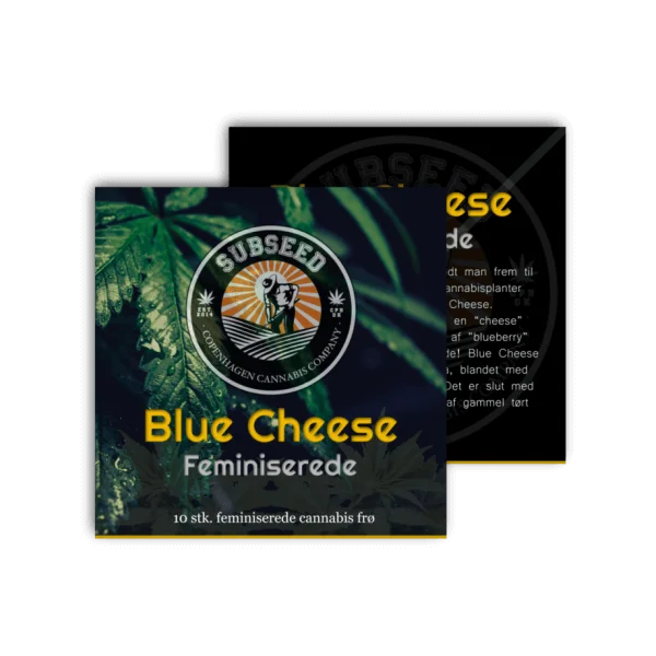 Blue Cheese feminiserede cannabisfrø fra Subseeds