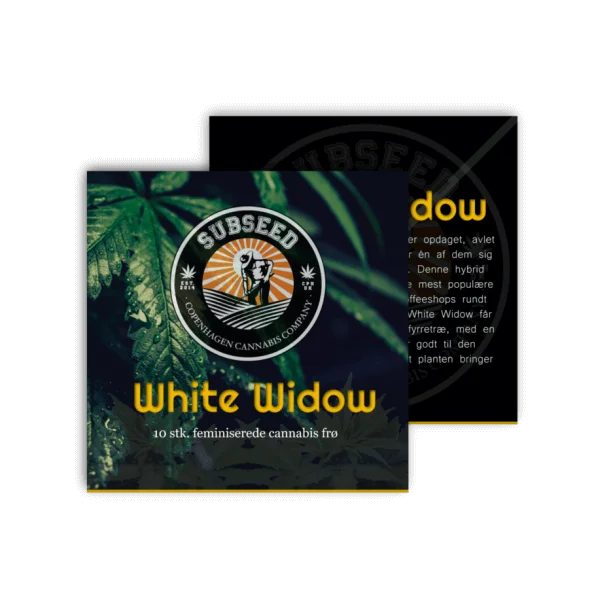White Widow feminiserede cannabisfrø fra Subseeds
