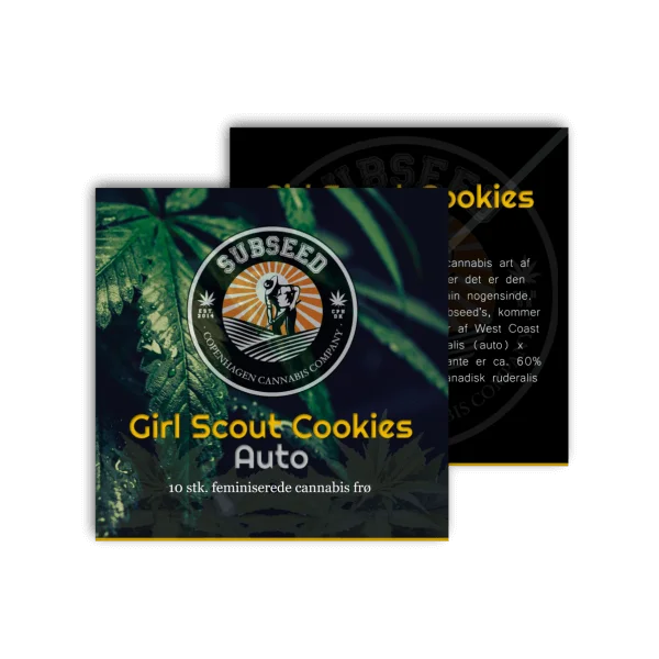 Girl Scout Cookies autoblomstrende cannabisfrø fra Subseeds