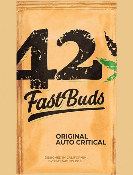 Original Critical autoblomstrende cannabisfrø fra Fastbuds Seeds