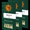 Biscotti feminiserede skunkfrø fra Barneys Farm
