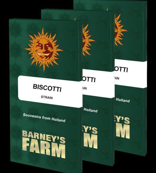 Biscotti feminiserede skunkfrø fra Barneys Farm