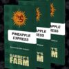 Pineapple Express feminiserede skunkfrø fra Barneys Farm