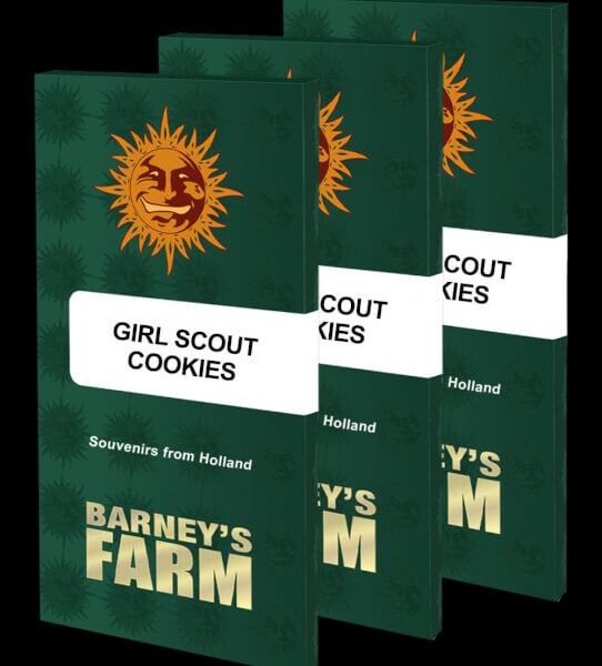 Girl Scout Cookies feminiserede skunkfrø fra Barneys Farm