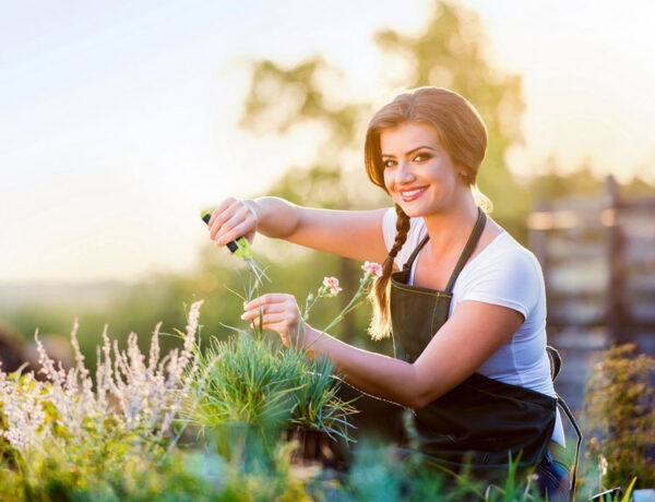 Herbgarden | Trimmersaks - Image 6
