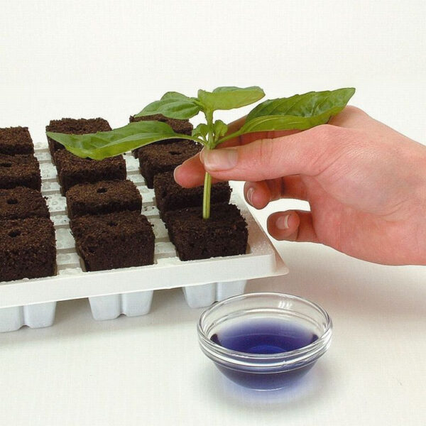 Root Riot | Propagationskuber 50 stk - Image 2