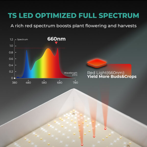 Mars Hydro | 300W LED grolys Grow Lamp - Image 5