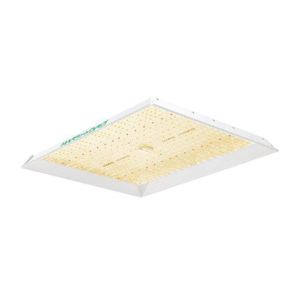 Mars Hydro 300W LED grolys, designet til optimal belysning under vækst og blomstring.