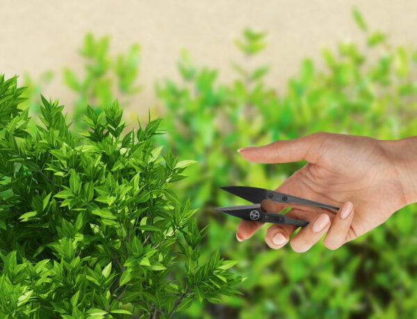 Herbgarden | Mini trimmersaks - Image 3