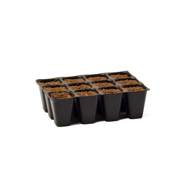 Biotabs | Frøplugge 12 stk. med startmix til frøspiring og omplantning af kimplanter - Image 4