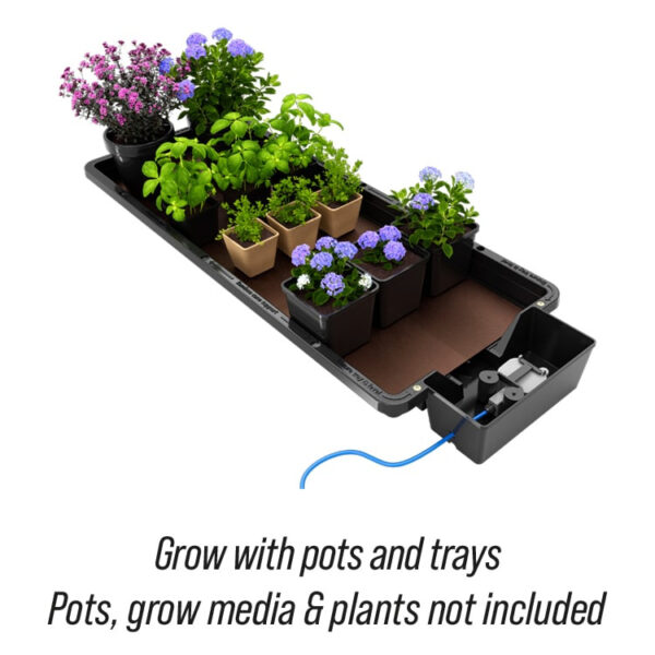 Autopot Tray2Grow | Vandingssystem - Én Bakke, Fem Anvendelser - Image 3