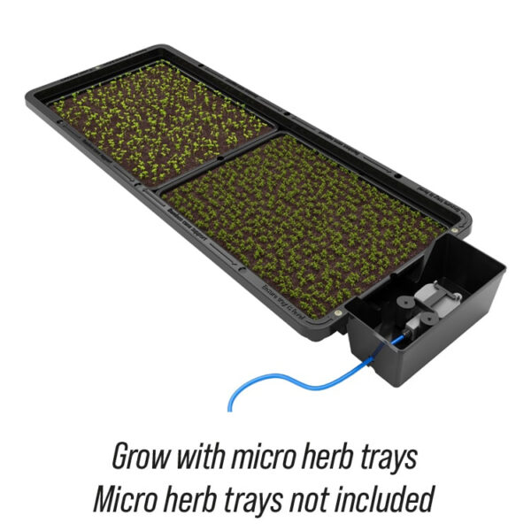 Autopot Tray2Grow | Vandingssystem - Én Bakke, Fem Anvendelser - Image 6
