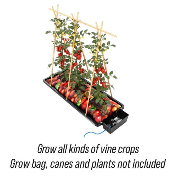 Autopot Tray2Grow | Vandingssystem - Én Bakke, Fem Anvendelser - Image 7