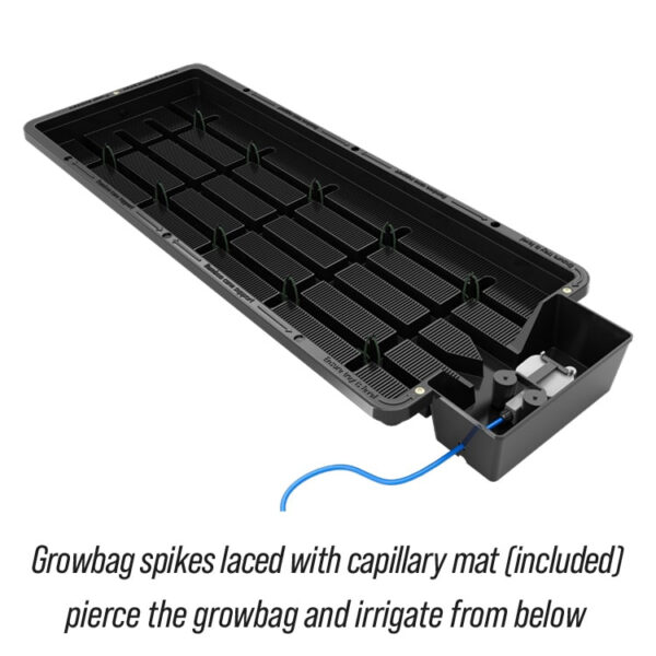 Autopot Tray2Grow | Vandingssystem - Én Bakke, Fem Anvendelser - Image 8