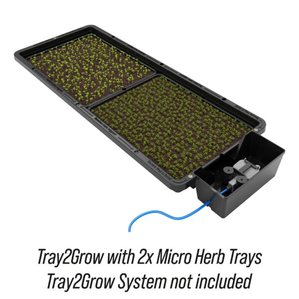 Autopot Tray2Grow | Micro Herb Tray - Image 2