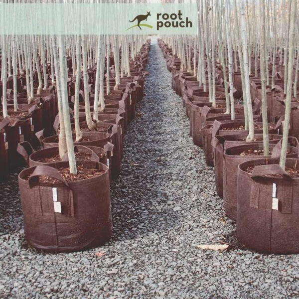 Growbag | Stofpotte "root pouch" - 40x30cm 39L - Image 12