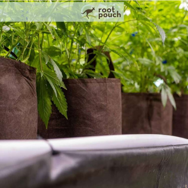 Growbag | Stofpotte "root pouch" - 40x30cm 39L - Image 13