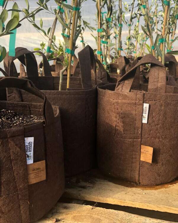 Growbag | Stofpotte "root pouch" - 40x30cm 39L - Image 14