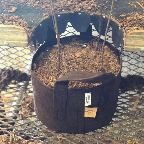 Growbag | Stofpotte "root pouch" - 40x30cm 39L - Image 7