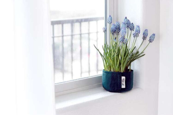 Growbag | Stofpotte "root pouch" - 28x26cm 16L - Image 2
