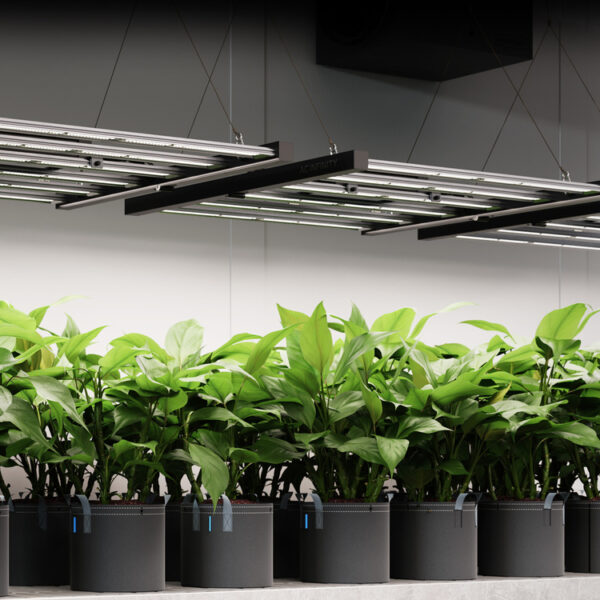 AC Infinity | 300W Full Spectrum LED grolys - Image 8