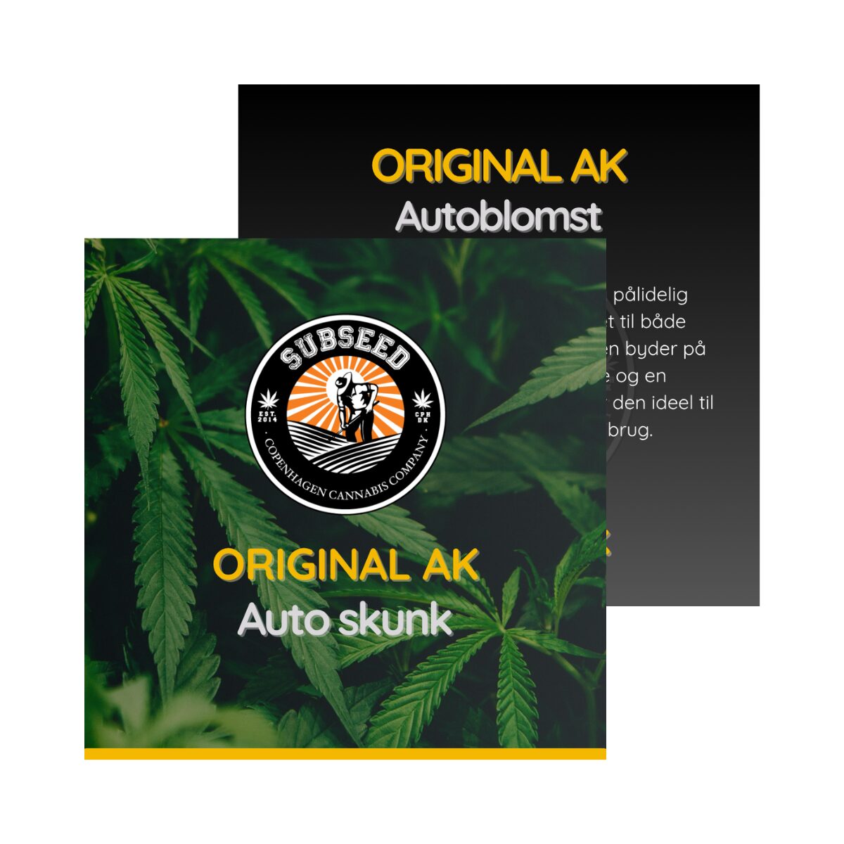 Original AK - Auto skunk frø  | Subseed's