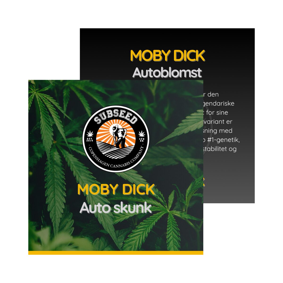 Moby Dick - Auto skunk frø  | Subseed's