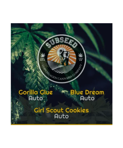 Mix pakke Autoblomst - Subseed's