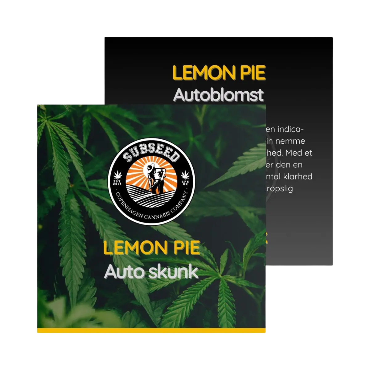 Lemon Pie - Auto skunk frø  | Subseed's