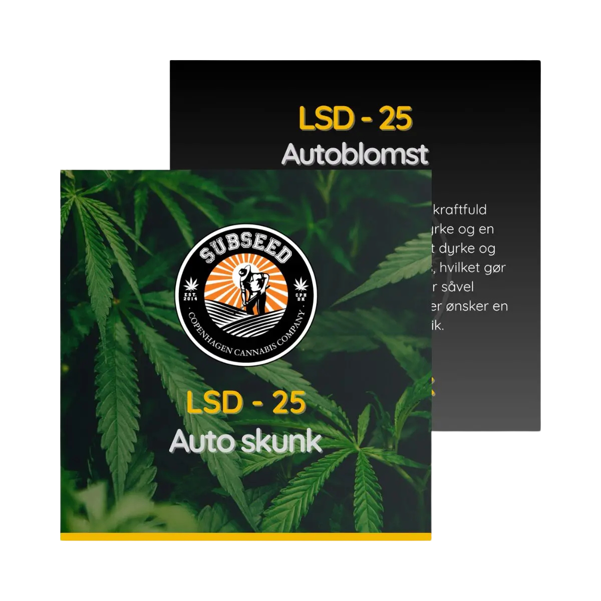 LSD - 25 - Auto skunk frø  | Subseed's