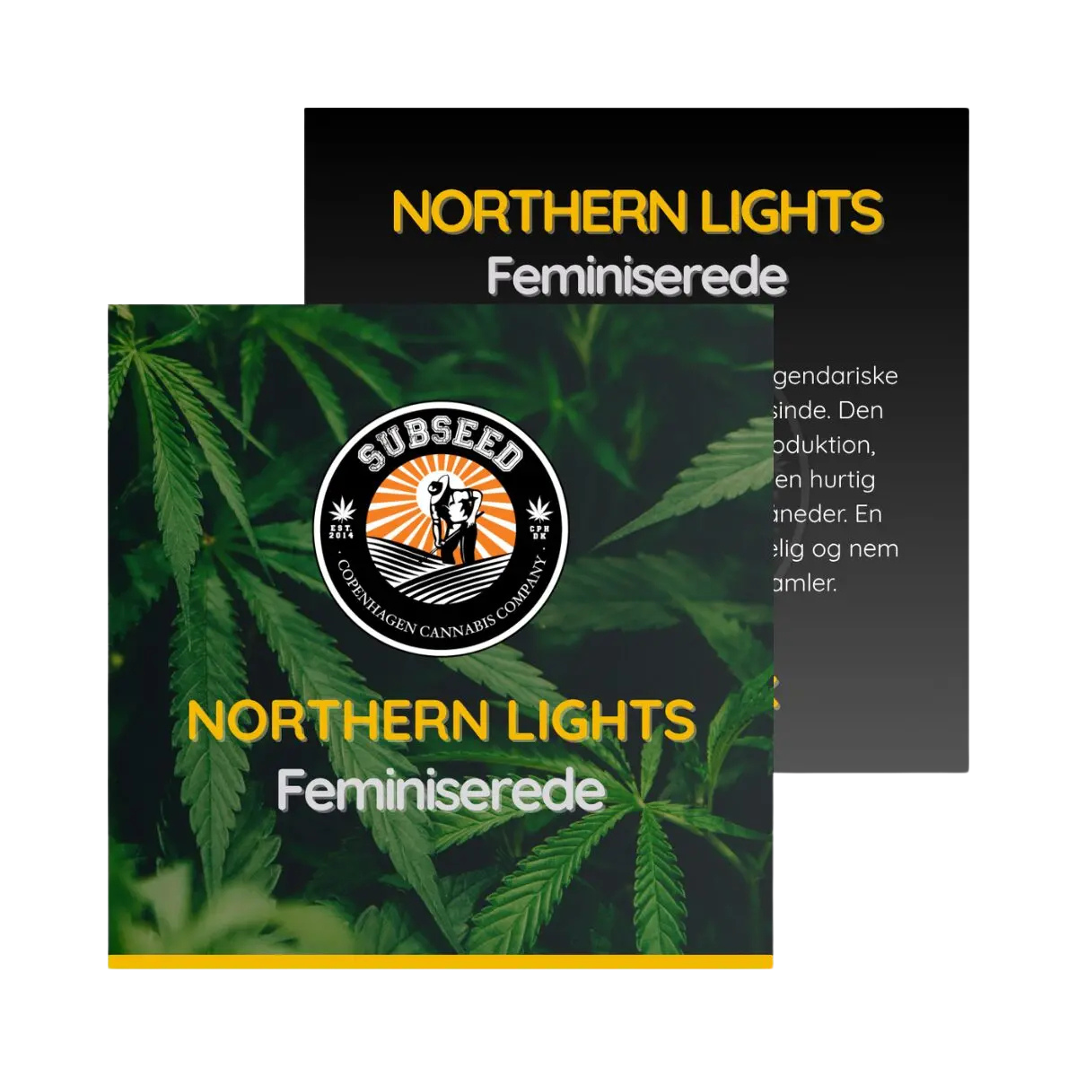 Northern Light - Fem. skunk frø  | Subseed's