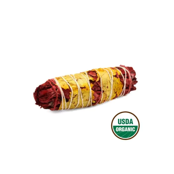 Hvid Salvie – Drageild Salvie 10cm