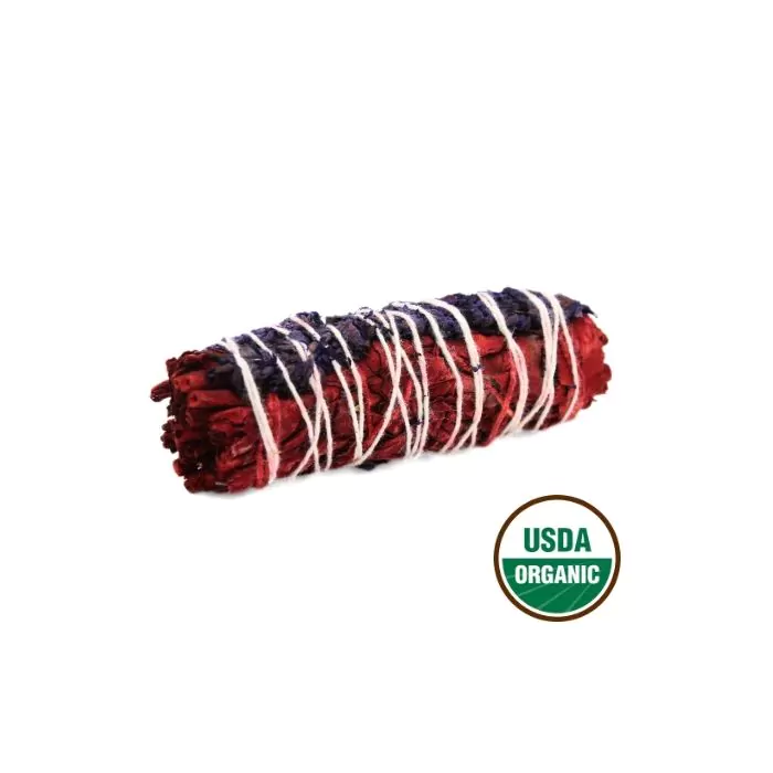 Hvid Salvie – Dragebeskyttelse Salvie 10cm