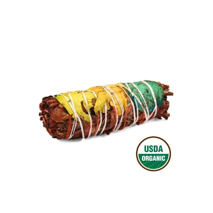 Hvid Salvie – Drageånd Salvie 10cm