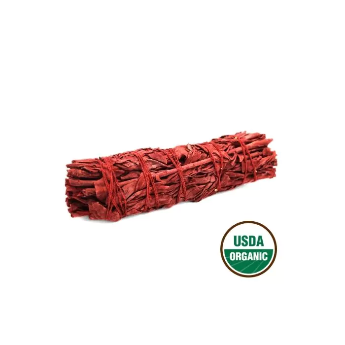 Hvid Salvie – Drageblod Salvie 15cm