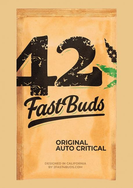 Original Critical | Autoblomstrende cannabisfrø - Fastbuds