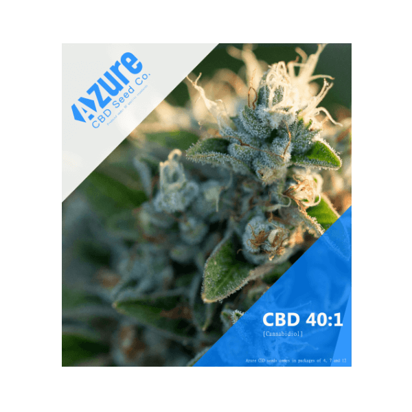 CBD 40:1 | Fem. Cannabisfrø - Azure CBD