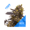 CBD 1:1 | Autoblomstrende cannabisfrø - Azure CBD