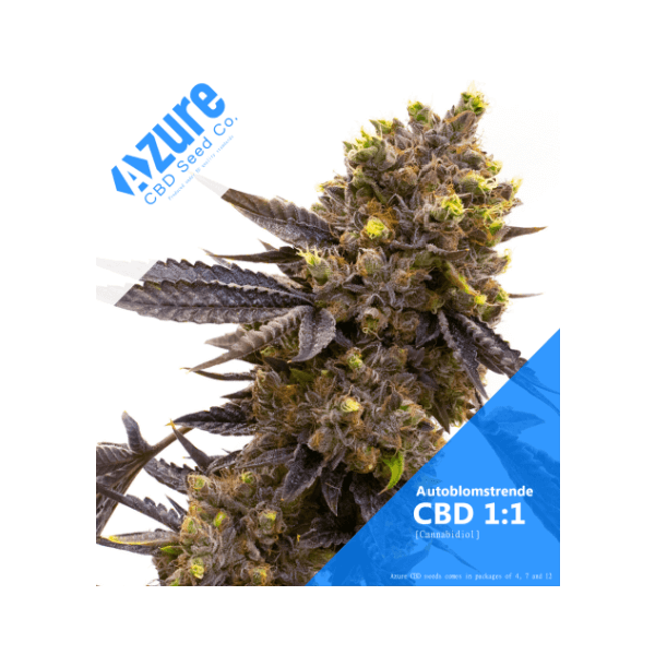 CBD 1:1 | Autoblomstrende cannabisfrø - Azure CBD