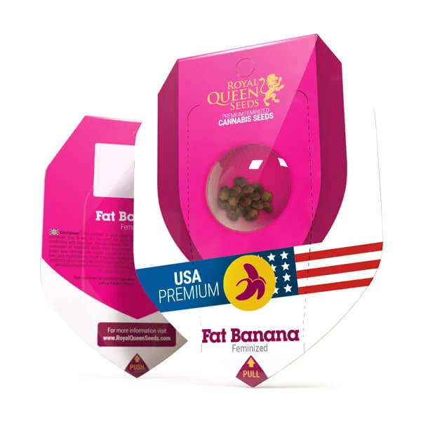 Fat Banana - feminiserede skunkfrø | Royal Queen Seeds - Billede 4